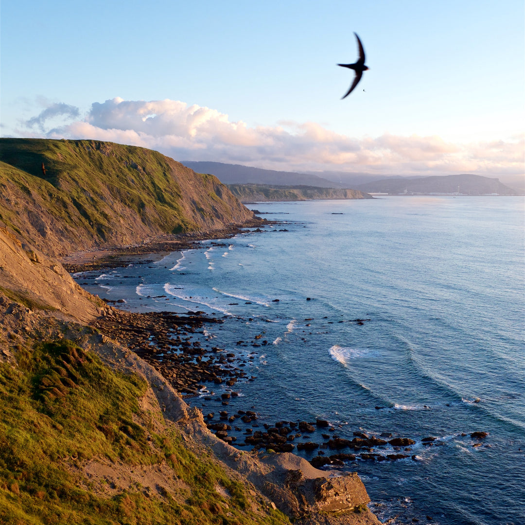 ASTURIAS