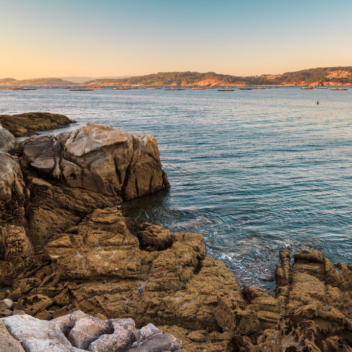 GALICIA